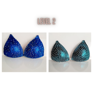 level 2